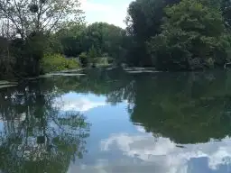 Bras de Seine - Sandrancourt 2